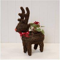 KDMD Standing Reindeer Planter with Christmas Scarf in Dark Brown