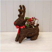 KDMD Sitting Reindeer Planter with Christmas Scarf TD 9cm in Dark Brown