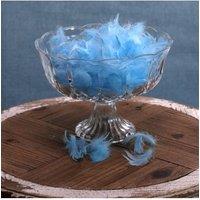 KDMD Baby Blue Feathers in Bag 5g 15 Pack in Light Blue