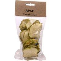 KDMD Green Apple Slices Pack 4 Pack