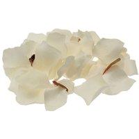KDMD Cream Rose Petal Confetti 3 Pack
