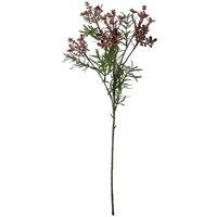 KDMD Essential Lavender Broom Bloom 4 Pack