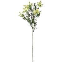 KDMD Essential White Broom Bloom 4 Pack
