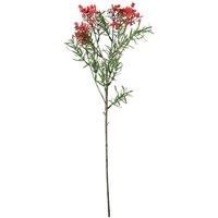 KDMD Essential Pink Broom Bloom 52cm 4 Pack