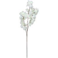 KDMD Essential White Cherry Blossom 2 Pack