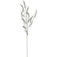 KDMD Glitter Green Amaranthus Stem 5 Pack