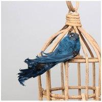 KDMD Blue Showfeather Bird with clip 4 Pack