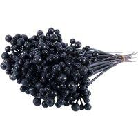 KDMD Black Plastic Berry x 50 7inch 2 Pack