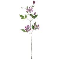KDMD Lavender & White Snowy Clematis 78cm