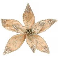 KDMD Champagne Velvet Poinsettia Organza with Clip Dia20cm in Gold