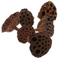 KDMD Large Lotus Heads Brown Christmas Ornament