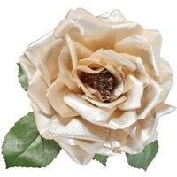 KDMD Champagne Rose Plush with Clip Dia18cm in Cream