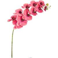 KDMD Crushed Raspberry Phalaenopsis Orchid Stem in Pink