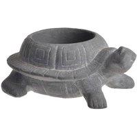 KDMD Tortoise Cement Planter Grey Indoor Planter