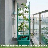 EONLION 3PCS Garden Tomato Halos Plant Pot With Supports Square Pot in Green | Size: 100g
