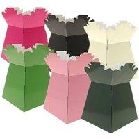 KDMD Pearlised Mixed Colours Pack Multicolor