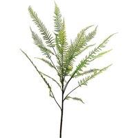 KDMD Botanica Chamaedorea Branch 160cm in Green