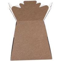 KDMD Natural Kraft Living Vase Vase design for everyday use