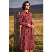 Roman Women's Embroidered Belted Midi Dress in Maroon | Size: 12