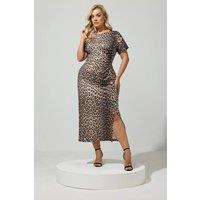 Yours Women's Animal Print Side Twist Dress in Brown | Size: 20