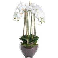 Hill Interiors Large Orchid In Glass Pot in White