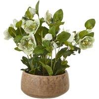 Hill Interiors Hellebore Artificial Potted Plant in Green
