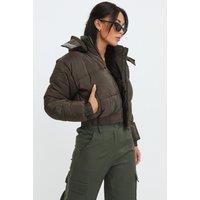 Femme Luxe Women's Cropped Padded Long Sleeve Zip Front Shower Proof Jacket in Khaki | Size: 6