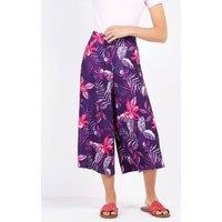Kettlewell Women's Tropical Printed Culottes in Aubergine | Size: 16