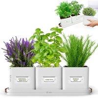 Green Thumbz Set of 3 Herb Planter Indoor with Leather Handled Tray in Warm White