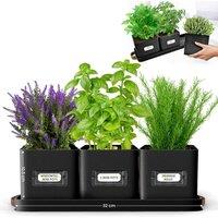 Green Thumbz Set of 3 Herb Planter Indoor with Leather Handled Tray in Black