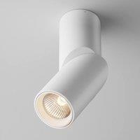 Netlighting Maytoni Dafne Surface Mounted Downlight White 3000K