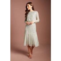 Coast Women's Party Sequin Long Sleeve Midi Dress in Sage | Size: 14