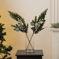 Scottish Everlastings Ltd Set 2 65cm Pine & Cone Branches in Green
