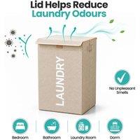Laundry Baskets and Linen Bins