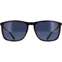 CALVIN KLEIN Men's Rectangle Havana Blue CK20524SN in Brown
