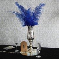 KDMD Royal Blue Decorative Feathers x5