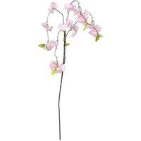 KDMD Essential Light Pink Weeping Cherry Blossom 2 Pack