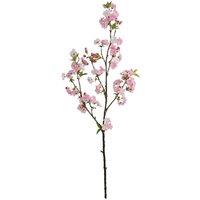 KDMD Botanica Pink Cherry Blossom 113cm