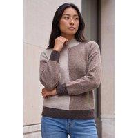 Roman Women's Petite Sequin Colour Block Jumper in Chocolate | Size: 16