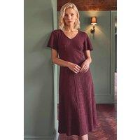 Roman Women's Petite V-Neck Dress in Wine | Size: 16
