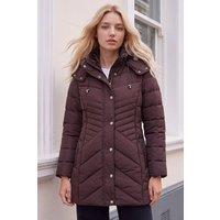 Roman Women's Petite Hooded Longline Quilted Coat in Chocolate | Size: 12