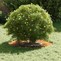 Berkfield Home Stunning Corten Steel Planter Corten steel Large Stackable in Brown