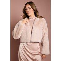 Coast Women's Blush Occasion Short Edge To Edge Faux Fur Coat | Size: 16
