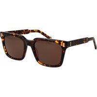Hally & Son Men's HSA20V 5302S Square/Rectangle Sunglasses in Brown
