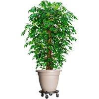 Berkfield Home Plant Trolleys with Wheels 3 pcs Diameter 40 cm Black 275 kg