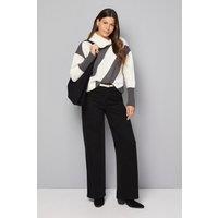 Wallis Women's Knitted Stripe Roll Neck Jumper in Khaki | Size: Large
