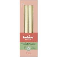 KDMD Bolsius Graceful Tapered Candles 245 x 24mm in Gold