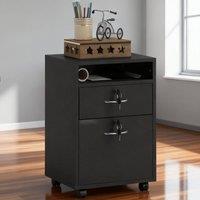 ERGOVEXA Filing Cabinet, Mobile File Cabinet with 2, Black