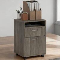 ERGOVEXA Filing Cabinet, Mobile File Cabinet with 2 Drawers, Grey