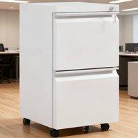 ERGOVEXA 2-Drawer Mobile Filing Cabinet, A4 & Legal Size, White